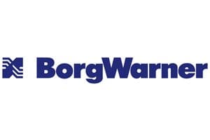 A blue and white logo of borgwarn